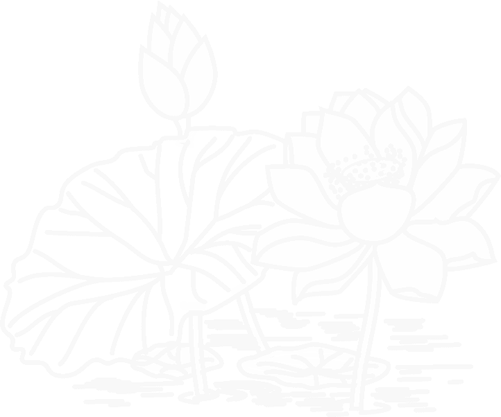 bg-lotus