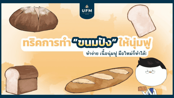 ยูเอฟเอ็ม-UFM-มือใหม่หัดทำเบเกอรี่-แป้งห่าน-ทริคการทำขนมปังให้นุ่มฟู-banner-scaled-2 ยูเอฟเอ็ม-UFM-มือใหม่หัดทำเบเกอรี่-แป้งห่าน-ทริคการทำขนมปังให้นุ่มฟู-banner-scaled-2