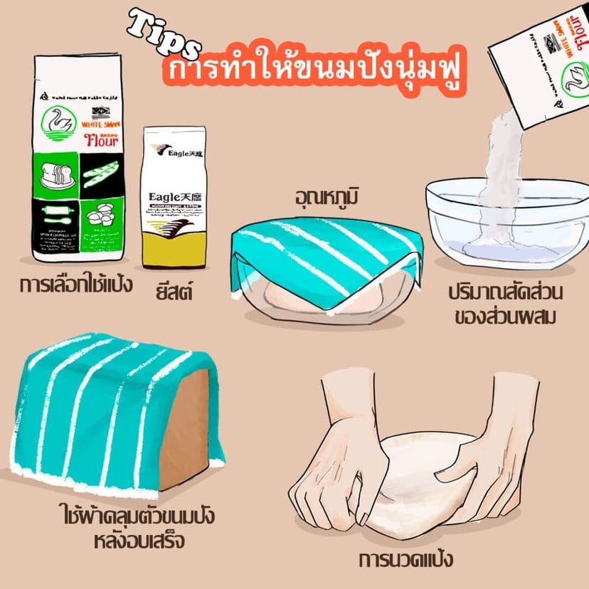 ยูเอฟเอ็ม-UFM-มือให้หัดทำเบเกอรี่-แป้งห่าน-ทริคการทำขนมปังให้นุ่มฟู-1.jpg