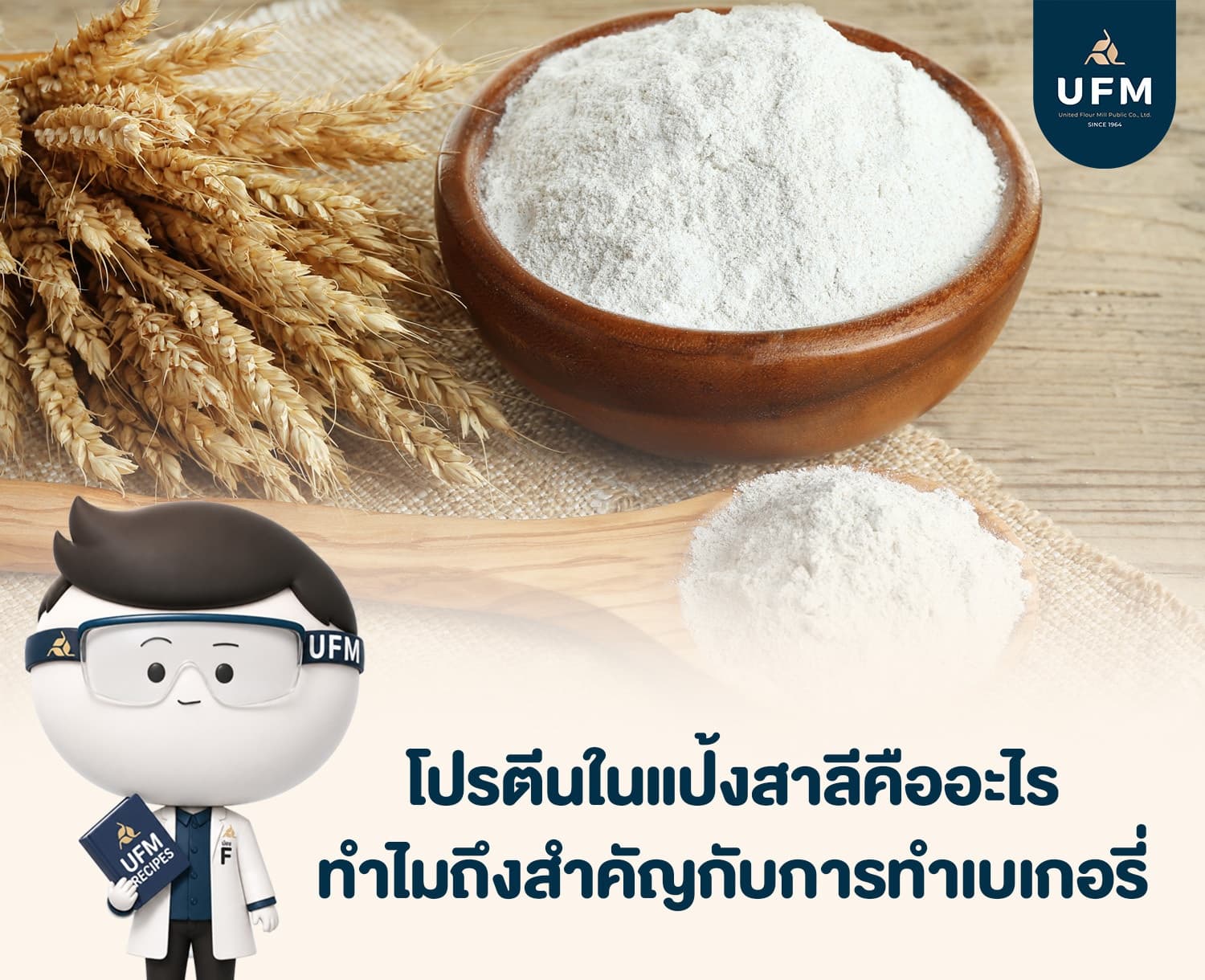 โปรตีนในแป้งสาลีคืออะไร ทำไมถึงสำคัญกับการทำเบเกอรี่ UFM แป้งสาลี แป้งเค้ก แป้งข (3) โปรตีนในแป้งสาลีคืออะไร ทำไมถึงสำคัญกับการทำเบเกอรี่ UFM แป้งสาลี แป้งเค้ก แป้งข (3)