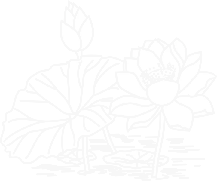 bg-lotus