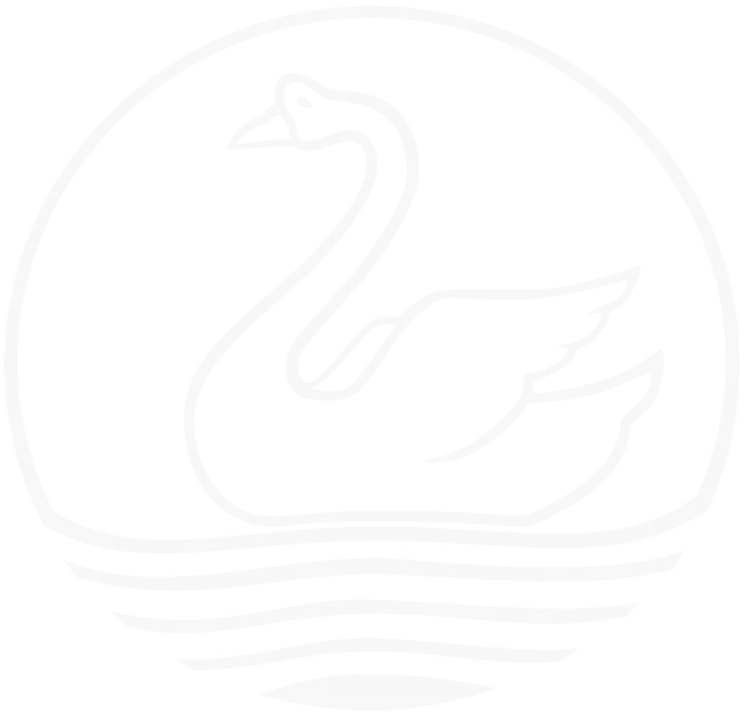 bg-swan